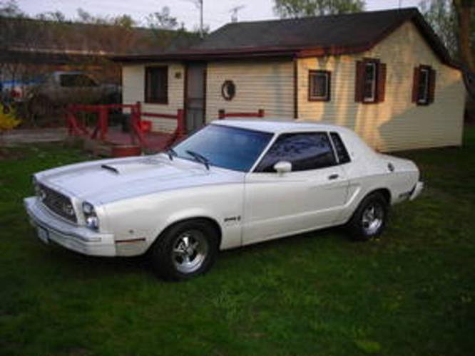 1975 Ford mustangs for sale #2