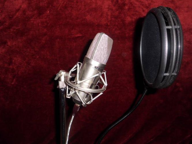 Apex 440 studio mic