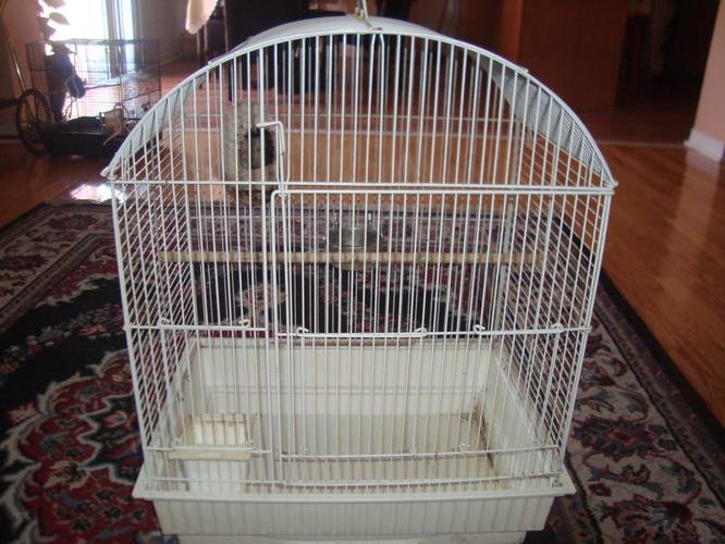 Bird Cages ; must go fast