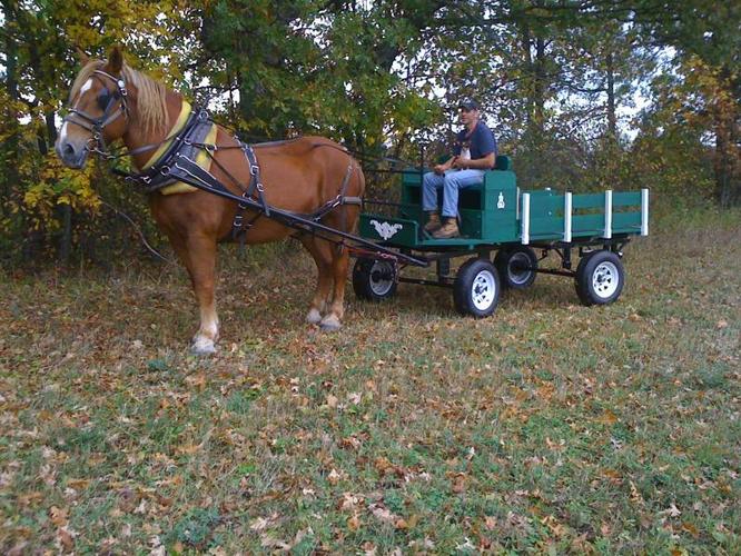 HORSE DRAWN WAGON RIDES FOR SPECIAL OCCASIONS