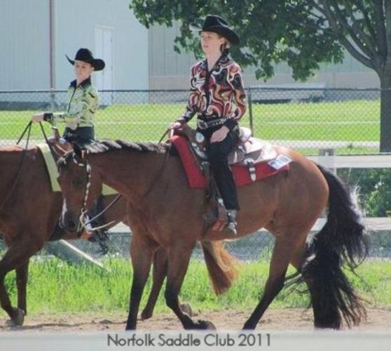 Professional Horse Training- Quiet, Proven Methods