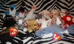 Selling 15 beanie babies:
-Rocket
-Spinner
-Snort
-Slippery
-Prance
-Loosy
-Butch
-Gracie
-Zip
-Nip
-Sniffer
-Teenie beanie Maple the Bear
-Scampy
-Crunch
-Ewey
They all have tags and are close to, if not mint condition. I'm asking for $60 OBO, or $4 or