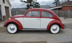 1961 Vintage VW BEETLE
VW Bug For Sale in Ontario, Canada
Phone 905-512-1846
An Awesome VW Beetle
Solid Body & under body
Straight, clean, original inner panels.
original floors and heater channels
nice chrome
red and white two tone paint
light grey and