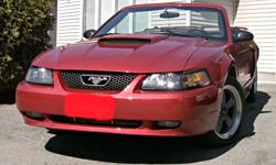 Make
Ford
Model
Mustang
Year
2002
Colour
Red
kms
182000
Trans
Manual
Selling my 2002 Mustang Conv GT. I bought a new car and now out of parking space. Fully loaded, AC, black leather interior, black top. Brand new high quality tires.
Comes safetied and
