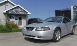 Make
Ford
Model
Mustang
Year
2004
Colour
SILVER
kms
121000
Trans
Automatic
6 MONTHS WARRANTY WITH PURCHASE FOR FREE !
LEGENDARY 2004 FORD MUSTANG ((40 YEARS ANNIVERSARY)) EDITION !! 3.8L ENGINE POWERFUL AND EASY ON GAS ! WITH AUTOMATIC TRANSMISSION, FULLY