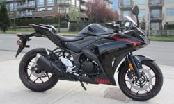 2015 Yamaha YZF-R3 Motorcycle - $4,699
$4,699 entry price!! Yamaha has raised the bar in the entry sports class with the exciting new YZF-R3. Sporting a new twin cylinder 320 cc engine and an all new chassis, the Yamaha R3 offers a solid combination of