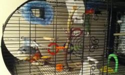 hello, just as the add says, i am selling two birds, one english budie black and white and one normal budgie blueish colours. comes with many toys and accessories. and a cage which is 27 inches in height, 13 inches in width, and 15 inches in length. the
