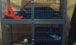 I am looking at downsizing and freeing up some space in my home. Sadly I have to part with my ferrets.
Here is a list of everything you would receive with them.
3 friendly ferrets
Ferret nation two level cage
Large bag of mazuri ferret food
Bottle of