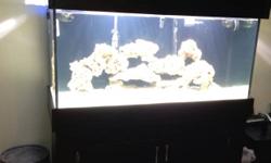 I have a 90 gallon fish tank set up for saltwater but can easily be switched to fresh water. A black canopy and stand very strong good quality.Comes with 75 pounds of live rock, 80 kg of live sand, a diamond Goby sand sifter, a pulsating Xenia, branching
