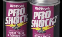 Well-Worth products offers a Fuel induction kit. This kit includes Intake valve and combustion chamber cleaner, air intake system cleaner, and a fuel system cleaner. All of these products give maintenance to the areas in which the engine needs to perform.