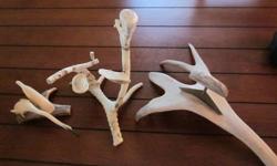 This is a great and unique group of original Aboriginal bone/antler carvings featuring: the most unique and truly a piece of art is a piece that I will call the Drummers - it is an abstract piece that was carved from antler and features two fiqures with