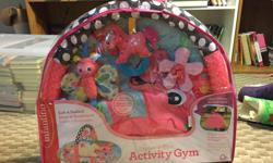 Baby explore and store activity gym.