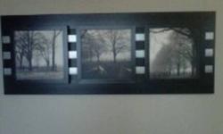 This is a beautiful black and white photo array. the dimensions are 51" w and 20" h! It makes a great addition to any room.