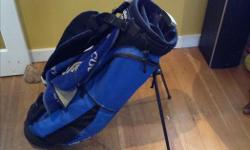 Callaway golf bag, in good shape.
Thanks