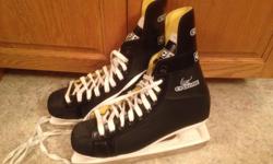 CCM Cyclone skates, size 9. New condition, in box. $40
For a youth in need, price is negotiable.