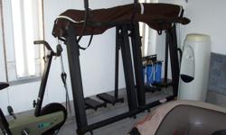 Cross-country skiing workout machine. Asking $15.00 obo. Folds up for easy storage under bed etc.