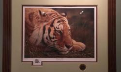 Ducks Unlimited Tiger and the Fox. $225.00 per framed painting in awesome condition, triple matted too.