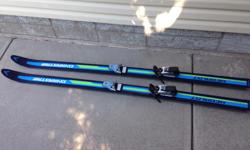 I have an older pair of Dynastar downhill Skiis 140-160 cm
Call, text or email if interested,