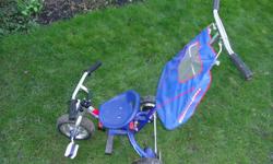 wee ride tricycle (trike) with adjustable/removable push handles and canopy, mostly metal, foam wheels, lock on back wheels