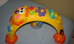 Fisher Price Go Baby Go Cruise Around Lion
The mane attraction is activity?and there are busy ones all around this lively lion! From the time baby can sit right through crawling, standing and cruising, there?s lots of fun to explore. And there?s plenty of