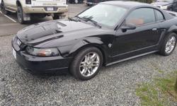 Make
Ford
Model
Mustang
Year
1999
Colour
Black
kms
91000
Trans
Manual
*For sale is a Mustang 4.6L with 90,XXX kms.
*Reason for selling it is because we will be having baby soon and this doesn't go with that lifestyle.
*Will consider trade for 1 ton truck