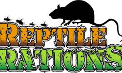 Reptile Rations has a few feeder rats ready to go. There will be many more in the future but this is a brand new business so bare with me...
5 packs of  small $12.50
5 pack of medium $17.50
3 pack of large $13.50
Limited quantities are available at the