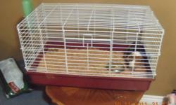 For Sale
 
3 year old Guinea Pig with cage, water bottle and feeding dish.
 
Everything you need to care for the pet.
 
Selling because we have too many pets and not enough room.