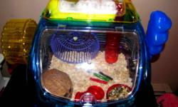 I have a hamster we bought at the NG pet store in Sept. He is very cute. He comes with cage that cost $100, plus food, brand new shavings not opened, coconut house, extra tunnel big ball to roam in, and 2 packages of fluff to sleep in. He has a middle