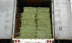 Top quality small square horse hay for first cut mixed hay, second cut timothy or second cut alfalfa. All hay is shedded and on plastic,so there is no bottoms, moldy hay or bleached bales. We help load and don't mind evening or Saturday pickups. We can