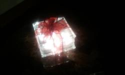 holiday glass block decorations (looks like gifts)
either coloured or in white lights many colours of
ribbons available $25.00 will deliver in hamilton.
please contact
Devon