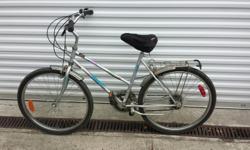 North Country 12 speed bike . in good condition with a large seat.
