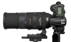 The Sigma 150-500mm F5-6.3 is ultra telephoto zoom designed for Full Frame sensors but may also be used with smaller APS-c size sensors with a corresponding effective increase in focal length to about 255mm to 850mm on the Sigma SD format. An Optical