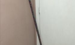 New LH Easton Ultra X-treme hockey stick
Store tag is still attached
Hasn't touched a puck yet (see pic 2)
Shanahan
95 Stiff
Shaft length: 58 inches
Made in Canada
$50
--
have some other left sticks, most suitable for street hockey only, a couple for ice
