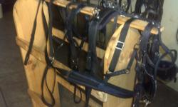 PONY ( fit 38 to 50"). single nylon complete harness
Check bridle with bit and lines, bio back band (girth 48 to 60")
with shaft holders, britchen with crupper and hold backs,
padded breast collar. In excellent condition....
.$200.00.... can ship...
