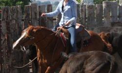 Professional Horse Training- All horses(including stallions), mules, and ponies(over10hh) are welcome.  My training program uses safe humane methods to give you a willing partner.  I specialize in Western Riding (Reining, Barrels, Cowhorse) but all horses