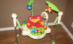 Rainforest Juperoo - $40
 
Good condition, seat is removable and machine washable. Needs batteries. My son loved this toy!