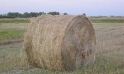 Round Bales for Sale:
 
4 x 5 soft core, approx 800 lbs each, no rain.  88 bales available, 10 min. from Saskatoon on Hwy 16 W.
 
Phone (306)280-1627
or (306)934-2086