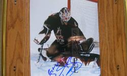 Sean Burke (Flyers-Coyotes) 8x10 Autographed Photos x2
+ Sean Burke - In an 8x10 full-color photo wearing his black, with orange
and white trim, Philadelphia Flyers uniform.
The photo is autographed "Sean Burke 33" in blue felt-tip marker.
$20.
 
+ Sean
