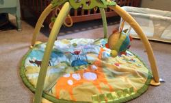 Skip Hop Giraffe Activity Gym, play mat.
Comes with 5 plush toys that squeak, play music, rattle, with mirror. Also includes small support cushion. Tactile and interactive elements on mat itself as well. Attractive design.
New, paid $90 +tax
In great