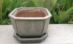 Small Planter Pot - appox. 6" x 6"
