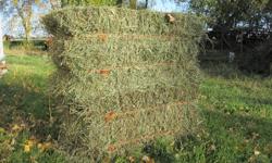 Small square hay bales, located south of Morden/Winkler. Weigh 60 - 70 pounds each--Ditch & meadow hay.
No rain & stored in shed  - $2.25 each --Mixture of grasses & small amount of alfalfa.
No rain & stored in shed - $3.00 each
--2nd cut bales now