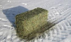 We have for sale 3 different types of Hay in small square bales.   All types are Brome with a little Alfalfa mixed in.  Horses love it!  The 3 types we have are:
 
1)  No Rain, nice fine bright Green bales weighing in around 65-70 lbs.  Awesome for