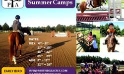 The 2016 Partridge Summer Camps are now open for Registration. Join us for 6 weeks of summer camp FUN! Camps are for ages 5-15 from riders with no experience (Pony Playground Summer Camp) to those already showing, or wanting to show for the first time