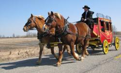 TEAMSTER WANTED FOR A BUSY
HORSE & CARRIAGE COMPANY
We are looking for a teamster for a busy horse & carriage company.
You will need to have at least 5 years experience driving single and double.
You must be bondable and insurable.
Pay will depend on