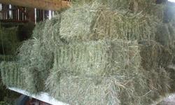 Best quality hay for sale small square bails no pesticides or herbicides used. 1st cut 2nd cut and some oat straw available local delivery possible call Rod or email for more info
Happy new year