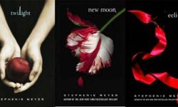 Twilight
New Moon
Eclipse
3 for 20
or $8 per book
OBO!