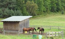 Winding Fences Farm has pasture/outdoor board with run in shelters and heated automatic waterer.   Horses are on large pastures with lots of room to roam.  Regular pasture rotations.  Hay is stored inside and never seen rain.  Hay available 24 hours a day