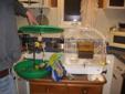 2 Bird Cages & LOTS of accessories