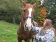 2 horse need new home asap