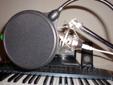 Apex 440 studio mic